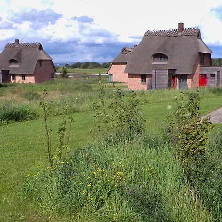 Holiday home Reetdorf Geltinger Birk Malerhaus Hochmoor
